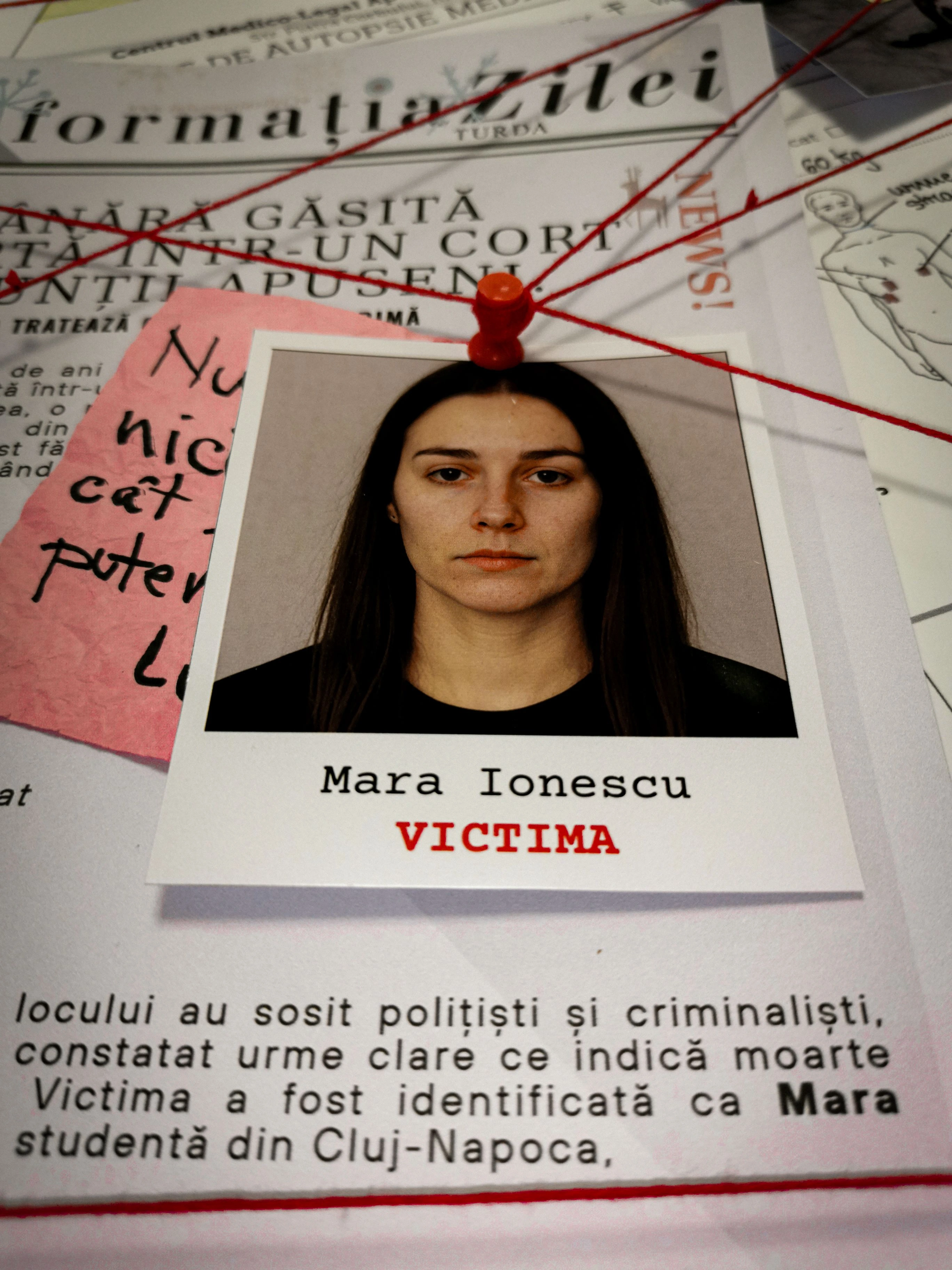 Declarații și articole de presă
